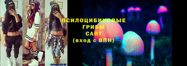 прущие грибы Абинск