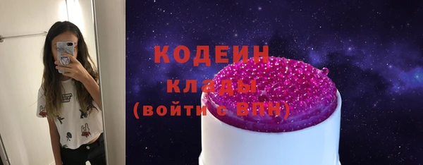 СК Гатчина