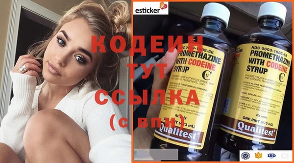 прущие грибы Абинск