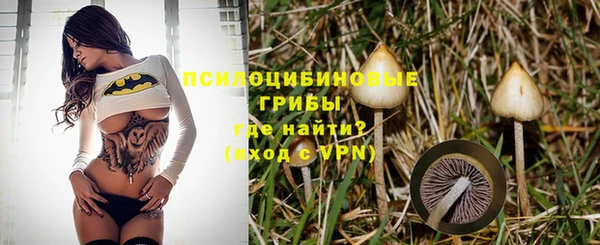 прущие грибы Абинск