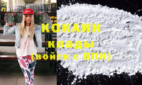 соль ск Абаза