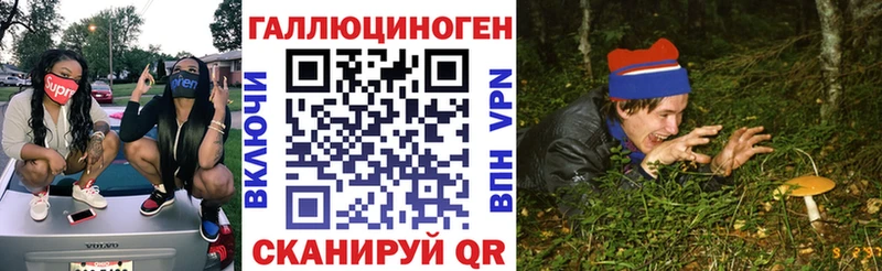 omg сайт  Камышлов  Псилоцибиновые грибы ЛСД 